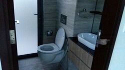 The Seawind (D15), Condominium #477603811